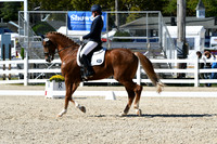 HSM_3466