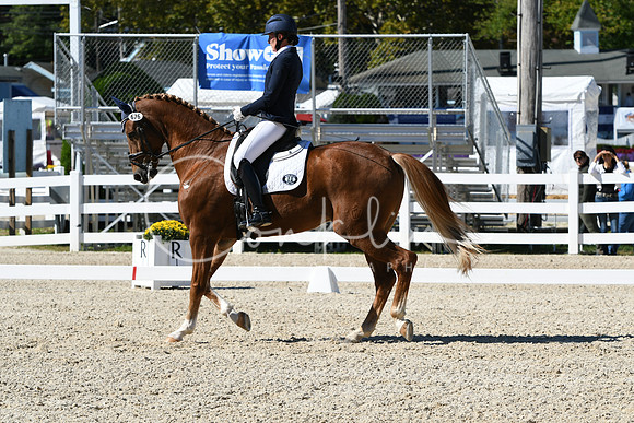 HSM_3466