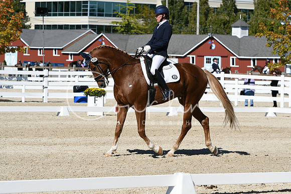 HSM_3471
