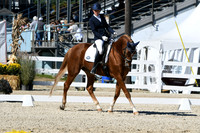 HSM_3476