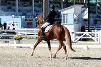 HSM_3480