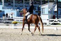 HSM_3481