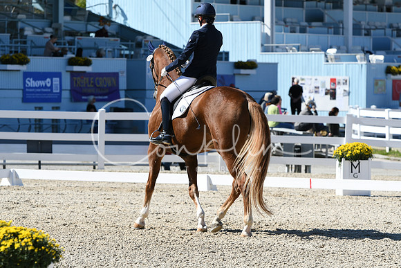 HSM_3482