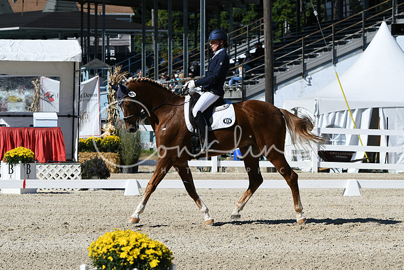 HSM_3490