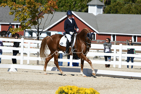 HSM_3498