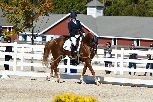 HSM_3499