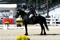 HSM_3504