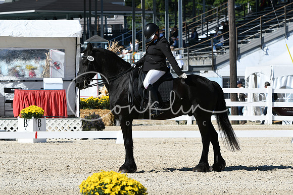 HSM_3504