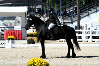 HSM_3505
