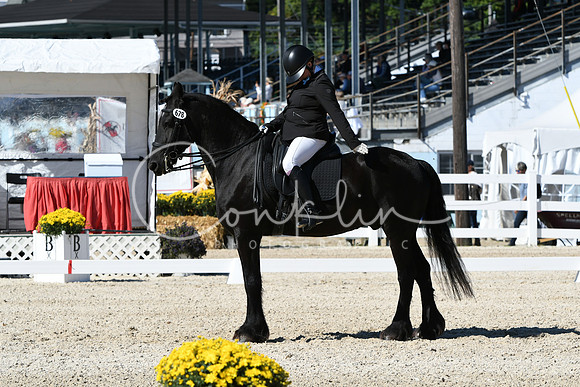 HSM_3505