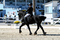 HSM_3506