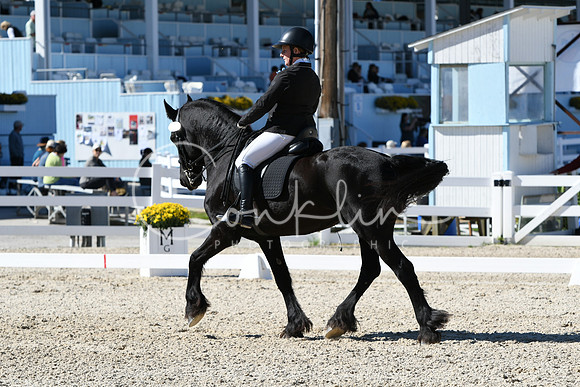 HSM_3506