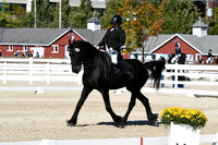 HSM_3510