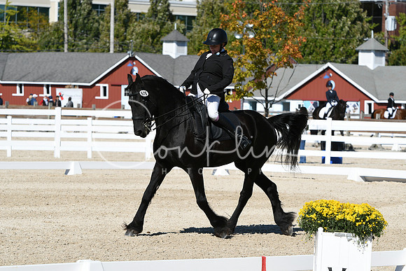 HSM_3510