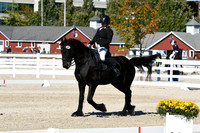 HSM_3511