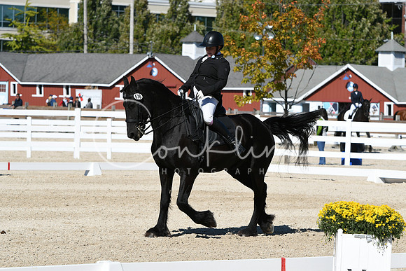 HSM_3511