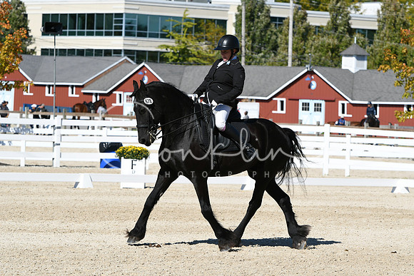 HSM_3512