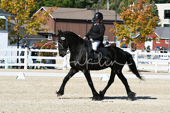 HSM_3514