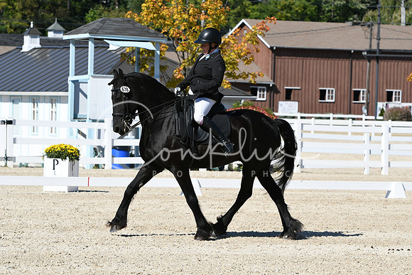 HSM_3516