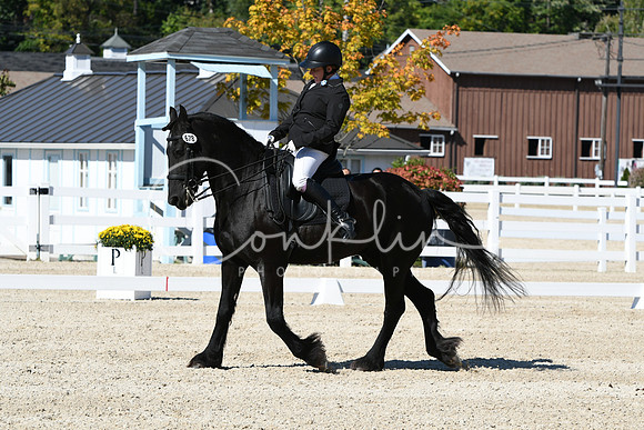 HSM_3517