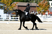 HSM_3515
