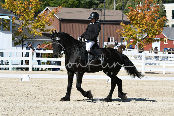 HSM_3515