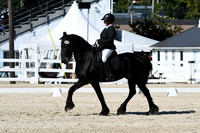 HSM_3518