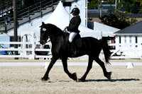 HSM_3519