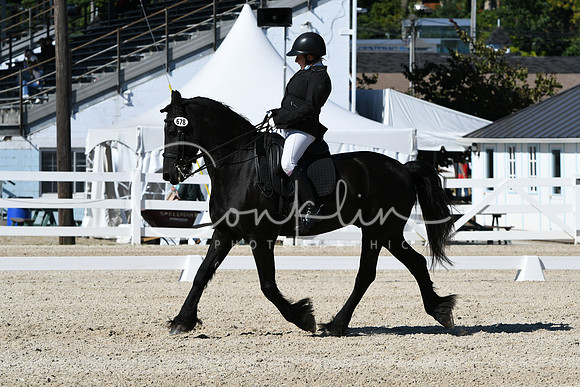 HSM_3519