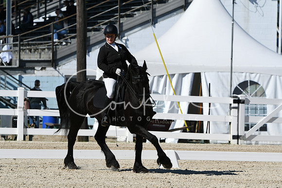 HSM_3520