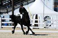 HSM_3521