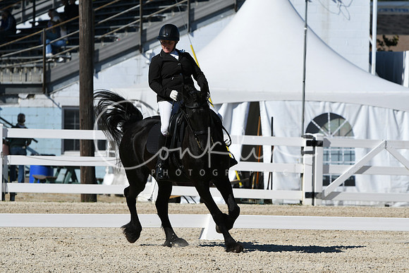HSM_3522