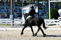 HSM_3525