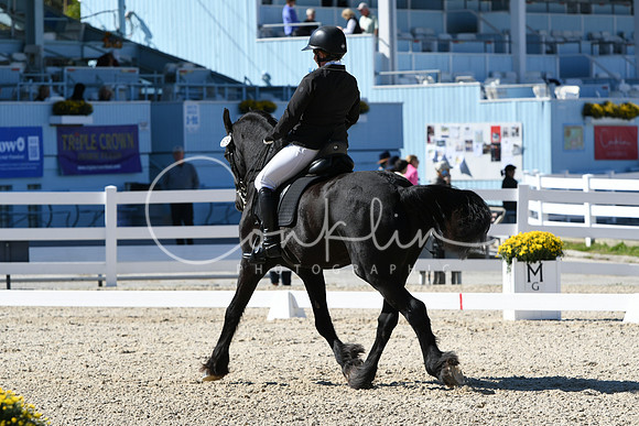 HSM_3528