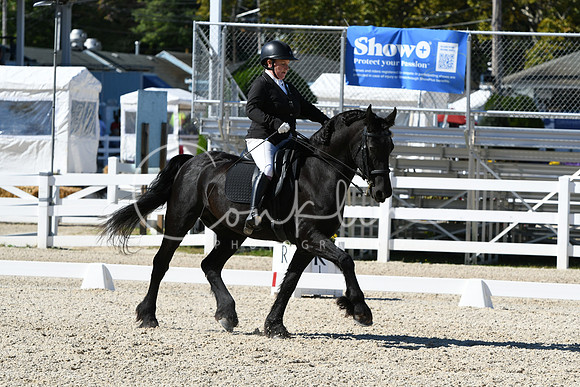 HSM_3529