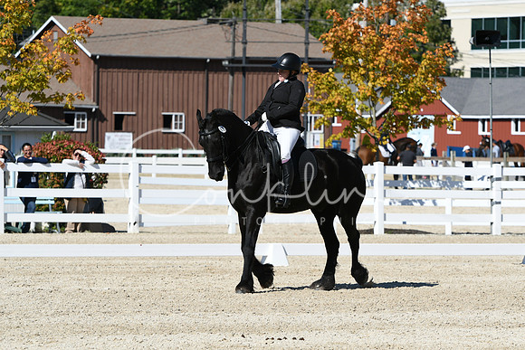 HSM_3536