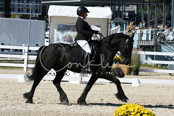 HSM_3531