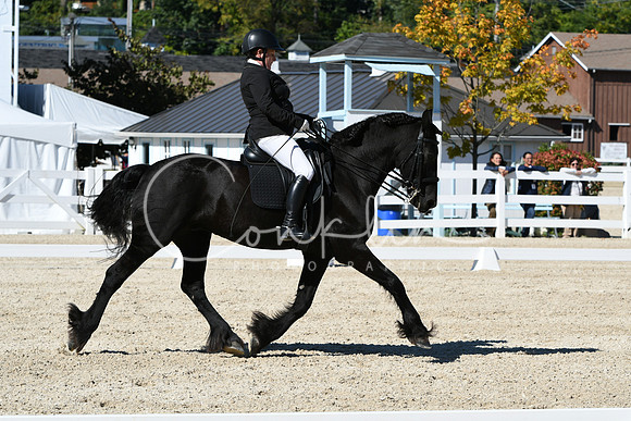 HSM_3533