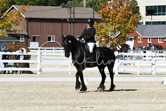 HSM_3535