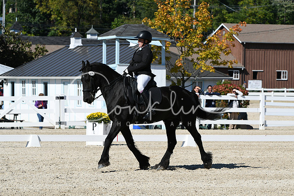 HSM_3537