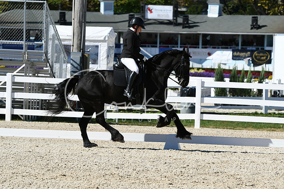 HSM_3549