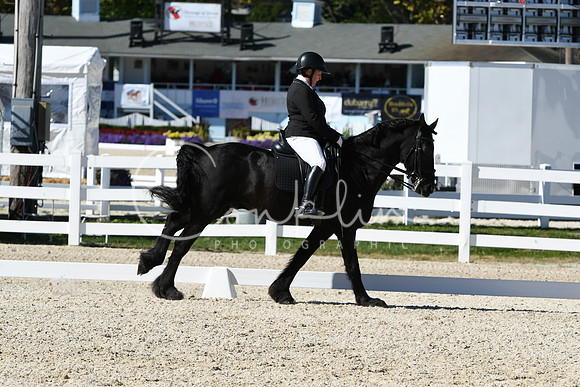 HSM_3551