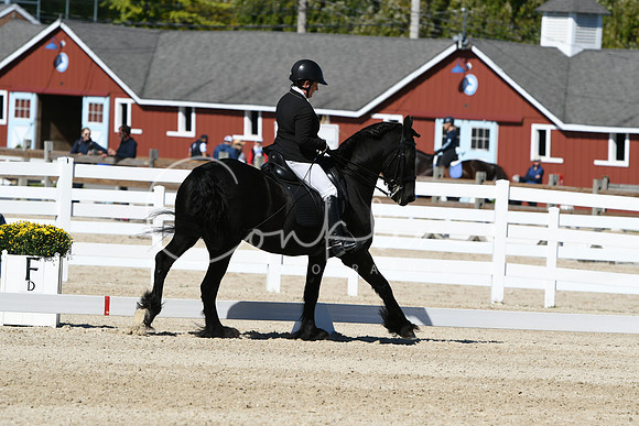 HSM_3552