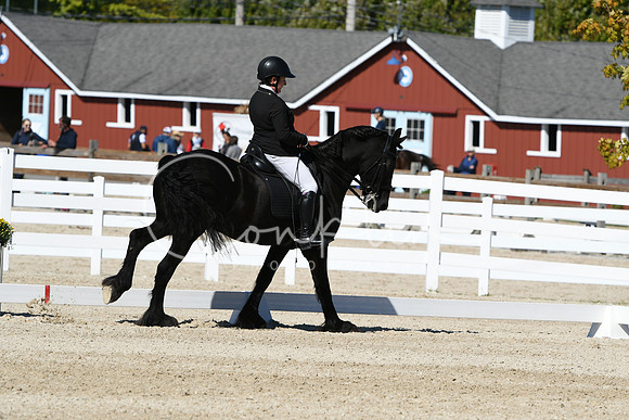HSM_3553