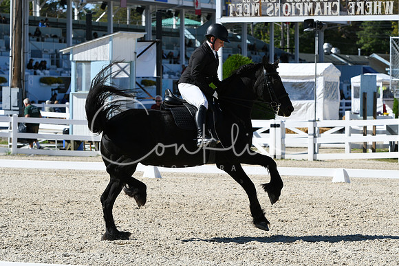 HSM_3557