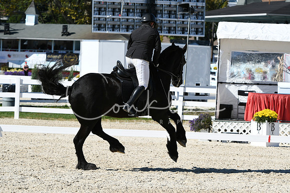 HSM_3559