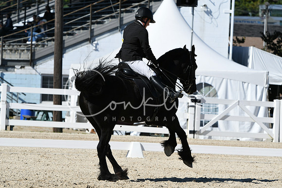 HSM_3561