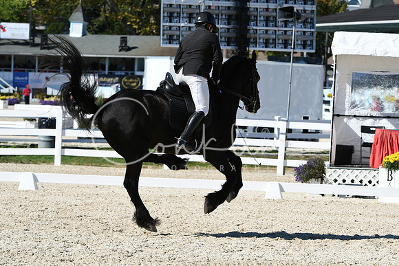 HSM_3558