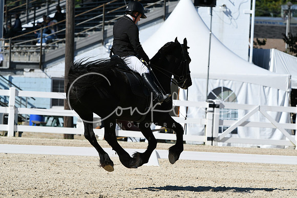 HSM_3560