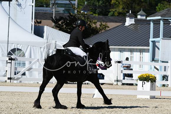 HSM_3563